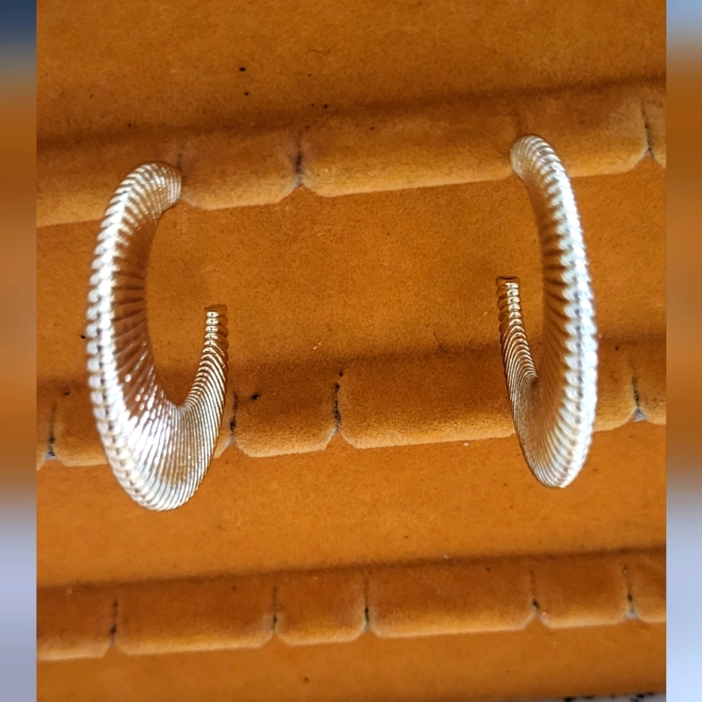 Elegant Silver Hoop Earrings